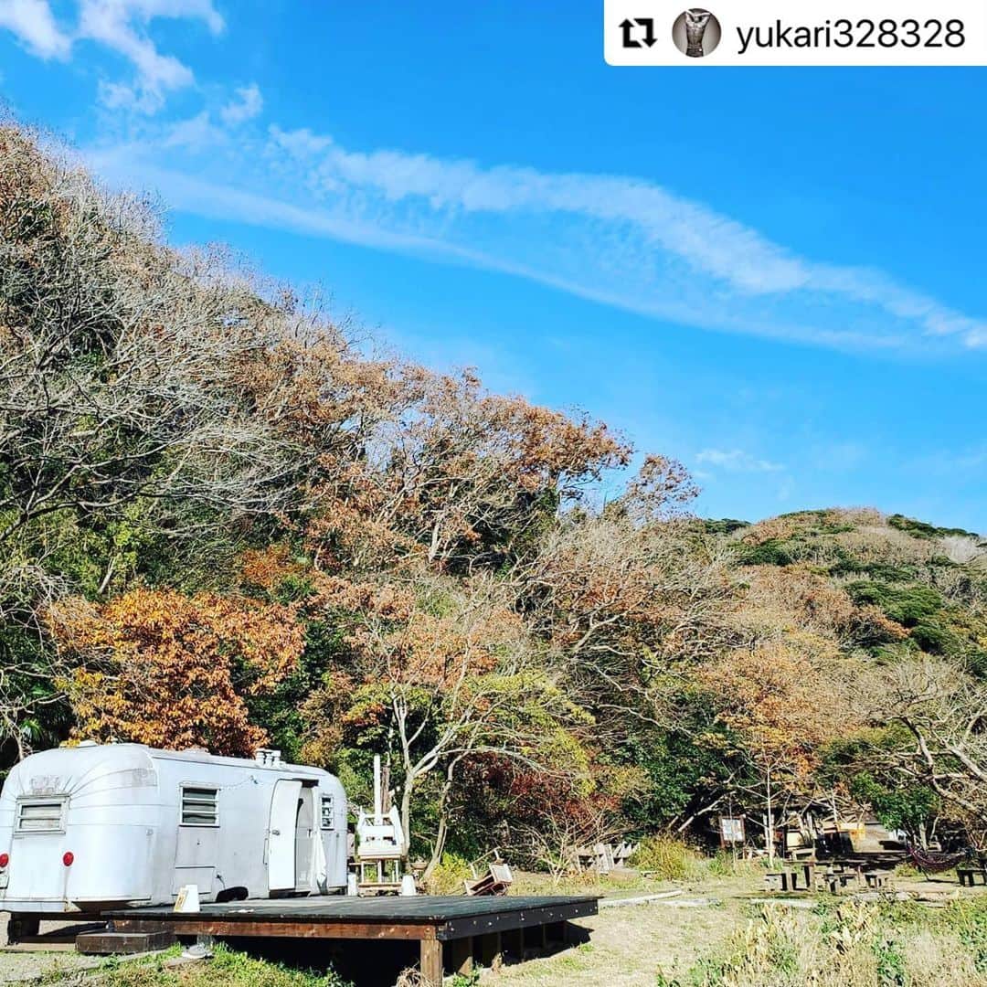 ヒデトレのグルメインスタ