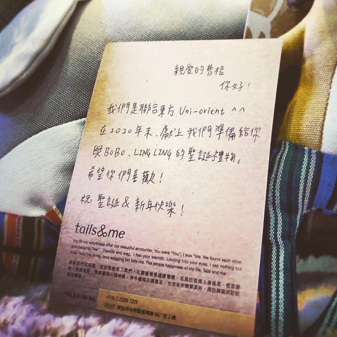 曹格格さんのインスタグラム写真 - (曹格格Instagram)「BoBo got her Christmas presents ‼️‼️‼️ thank you @tailsandme @bobo.lingling」12月24日 19時03分 - supergarychaw