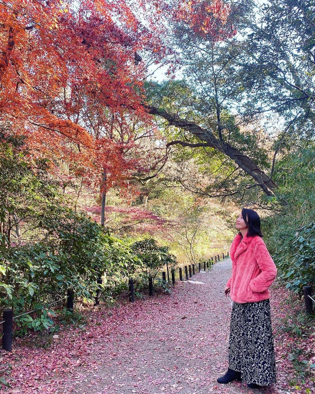 織香さんのインスタグラム写真 - (織香Instagram)「昨日の紅葉🍁🍁🍁 そして、メリークリスマス🎄🎄🎄 素敵な夜を❤️❤️❤️ ・ #dupark  #lunch #🍁 #tokyo#instagood」12月24日 19時11分 - orikagram