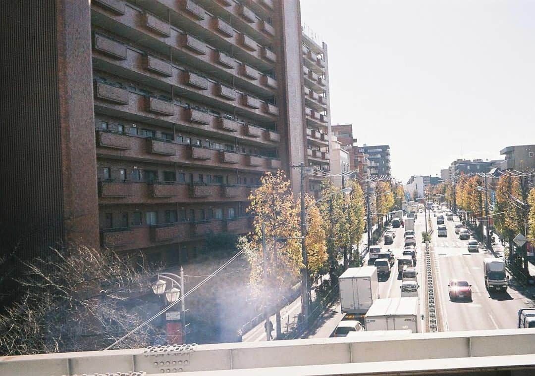 Karin.（カリン）のインスタグラム：「夜だけが知っている私を連れて いつも通りの朝がくる  夜の延長線で息をする感情が 枯れてゆく様を見届けたところで この気持ちはもうとっくに哀しみを通り過ぎた」