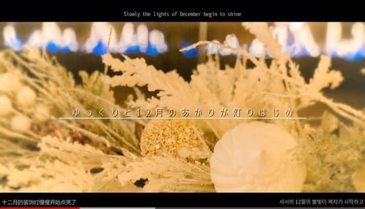 mycoのインスタグラム：「This song is a Christmas present from me♡ クリスマスプレゼントどうぞ♡ 気に入ってくれるといいな🎵﻿ クリスマスと言えばこの歌！！﻿ 「いつメリ」（略した）好きなんですよね♡﻿ YouTubeは上のプロフィールから飛べます﻿ ﻿ みんなは温かい部屋でケーキ食べるの？﻿ チキンたべるの？いいなーいいなー！﻿ わたしはこの数日間が今年の仕事の山場です。﻿ ﻿ 今年はクリスマスツリー🎄飾れてない﻿ 今日はケーキも食べれる時間なさそう。﻿ がんばるよーー！！！﻿ ﻿ ちなみにりりもいつも一緒にご出勤。﻿ ﻿ 素敵なクリスマスイブをお過ごしください♪﻿ みんなの話だけ聞いて脳内だけクリスマス﻿するね🎄﻿ ﻿ Wishing you a merry Christmas!﻿ I have some news to tell you soon, so please check my Instagram. Thanks!﻿ I have attached URL link of my YouTube channel on my profile.﻿ ﻿ ﻿ 이 노래는 여러분께 드리는 크리스마스 선물입니다.﻿ 내년에도 소통 많이 할 수 있었으면 좋겠습니다.﻿ 조만간 공지 사항을 인스타에 공지할 예정이오니 많은 관심을 부탁드립니다!!﻿ ﻿ ﻿ 作为圣诞礼物，送给大家一首歌﻿ 我翻唱了我最喜欢的歌曲﻿ 也加入了豪华的合唱阵容﻿ 请看Youtube或者BILIBILI吧！！﻿ 希望大家能度过一个美好的圣诞节  📸 @hirotographer_portrait #xmaseve #happyholidays #Bz #いつかのメリークリスマス  #acousticguitar #acousticcover #プレゼント」