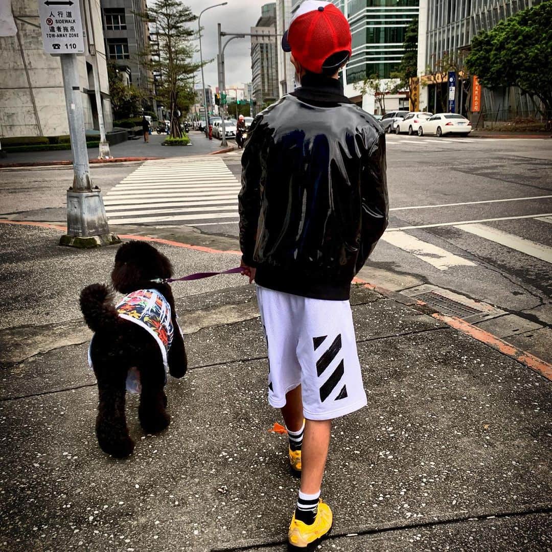曹格格さんのインスタグラム写真 - (曹格格Instagram)「My baby joe and baby BOBO」12月24日 19時20分 - supergarychaw