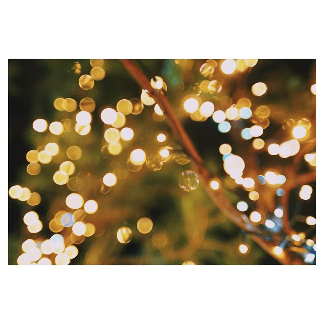 愛加あゆさんのインスタグラム写真 - (愛加あゆInstagram)「メリークリスマスイブ🎄✨ 皆様、如何お過ごしですか？  明日25日の夜にインスタライブしようと思います！ 予定のない方、一緒に過ごしましょ☺️笑 時間は21時からのつもりですが、稽古の終わりによって変わるかもなので、またお知らせしますね！ 是非、遊びにいらしてください☺️  #クリスマスイブ  #クリスマス #インスタライブ #camera #sonyalpha  #oldlens  #愛加あゆ」12月24日 19時36分 - manaka_ayu