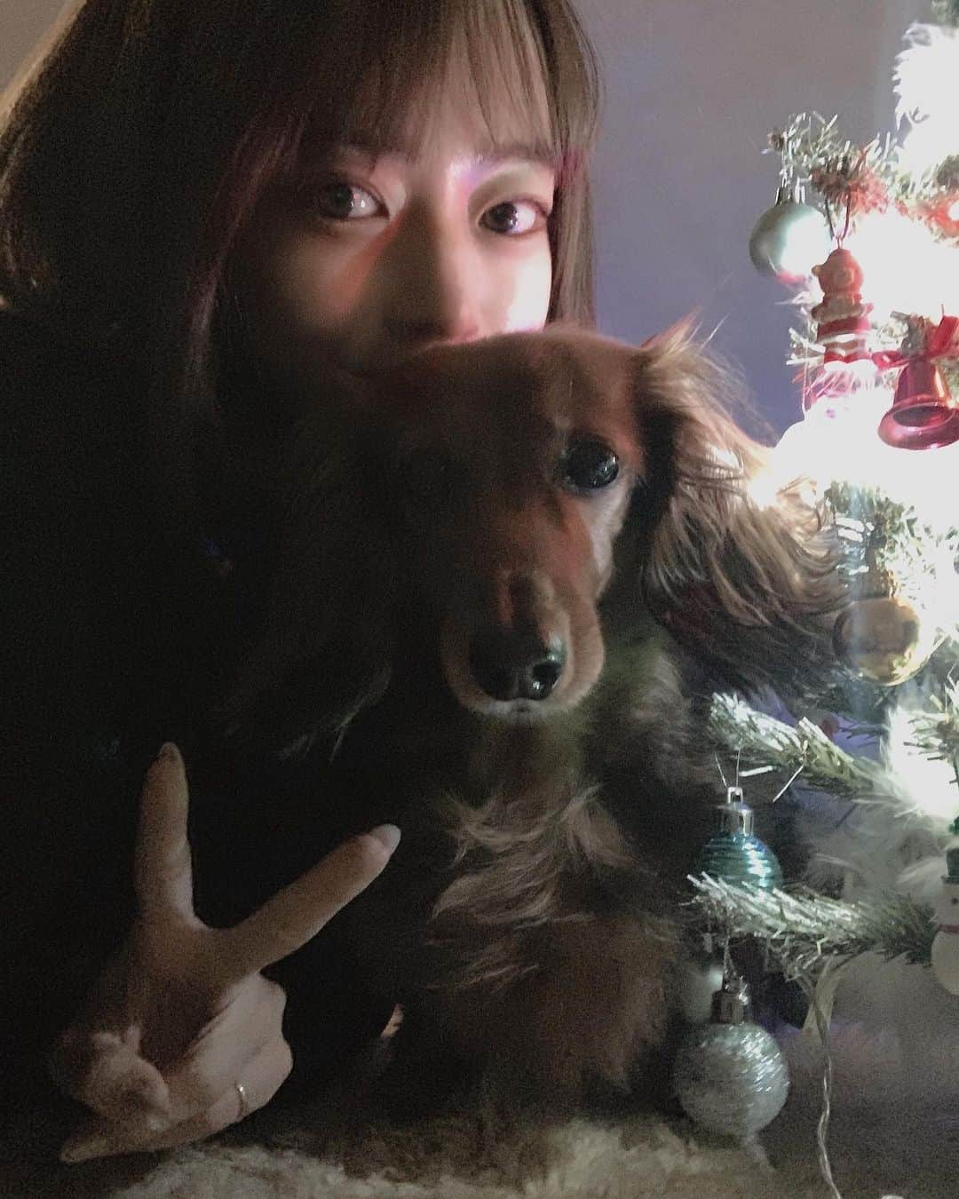 寺本月夜のインスタグラム：「Merry Christmas EVEchan🐶🎄 . #크리스마스이브 #셀피 #집콕크리스마스」