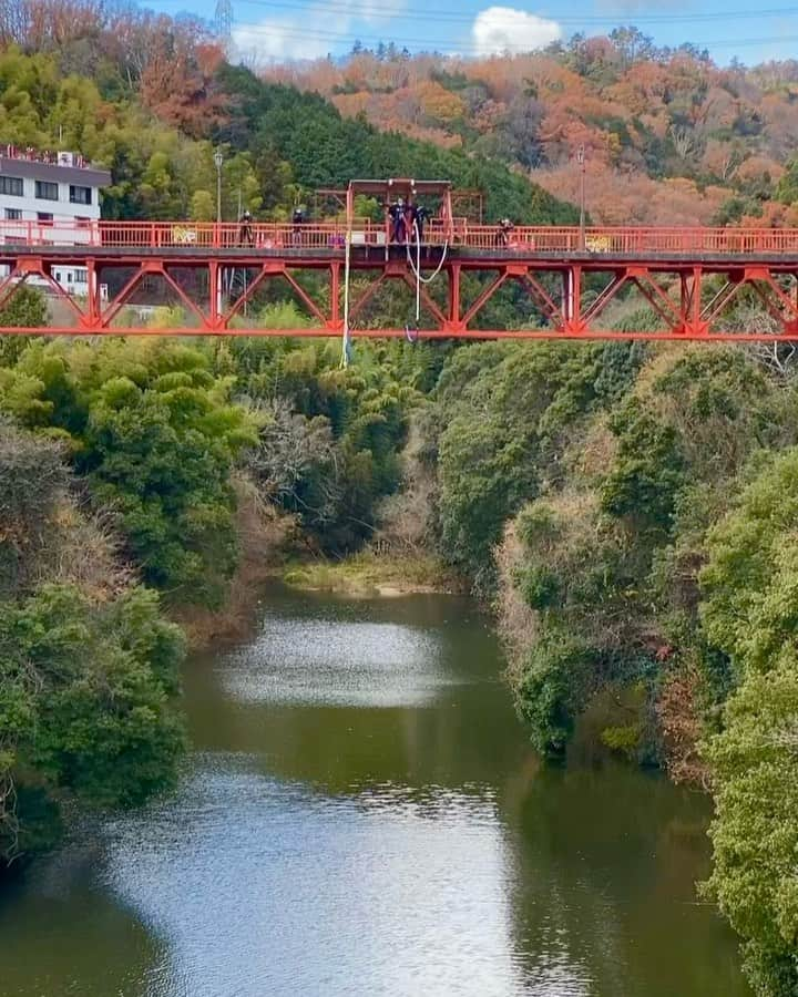 Koichiのインスタグラム：「.  Is bungee jumping the best way to relieve stress?🤔  このバンジー「開運バンジー」っていうネーミングなんですけど 笑 ちなみに高さは30mです。 日頃は出さない悲鳴あげたりするから、ストレス解消にはなるかもしれませんね！  ワーケーション仲間のバンジー7連発です！飛び方も7者7様ですね。 是非、悲鳴が聴こえるようにサウンドオンで見てください🔊  #信貴山ワーケーション #奈良 #信貴山 #SAGOJO  Special thanks @bungyiapan .」