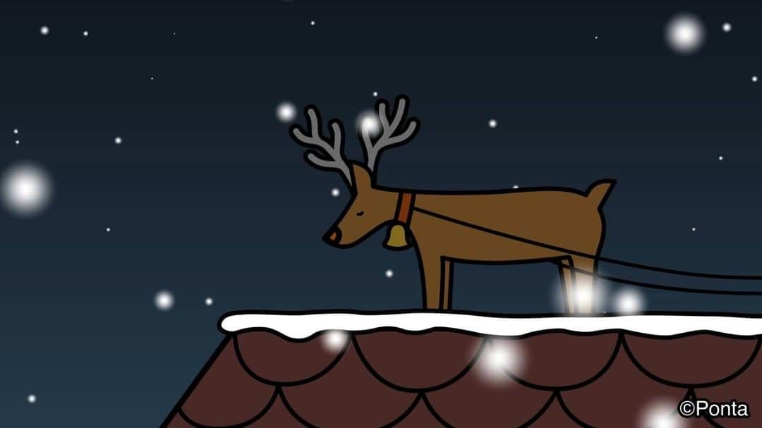 ポンタのインスタグラム：「Many Many Happy Xmas🎅   #ponta #ポンタ #クリスマス #メリークリスマス #クリスマスツリー #メリクリ #動画 #おもしろ動画 #癒し動画 #自分で言っちゃった #癒しの時間 #ポンタのいる生活 #ポンスタグラム」