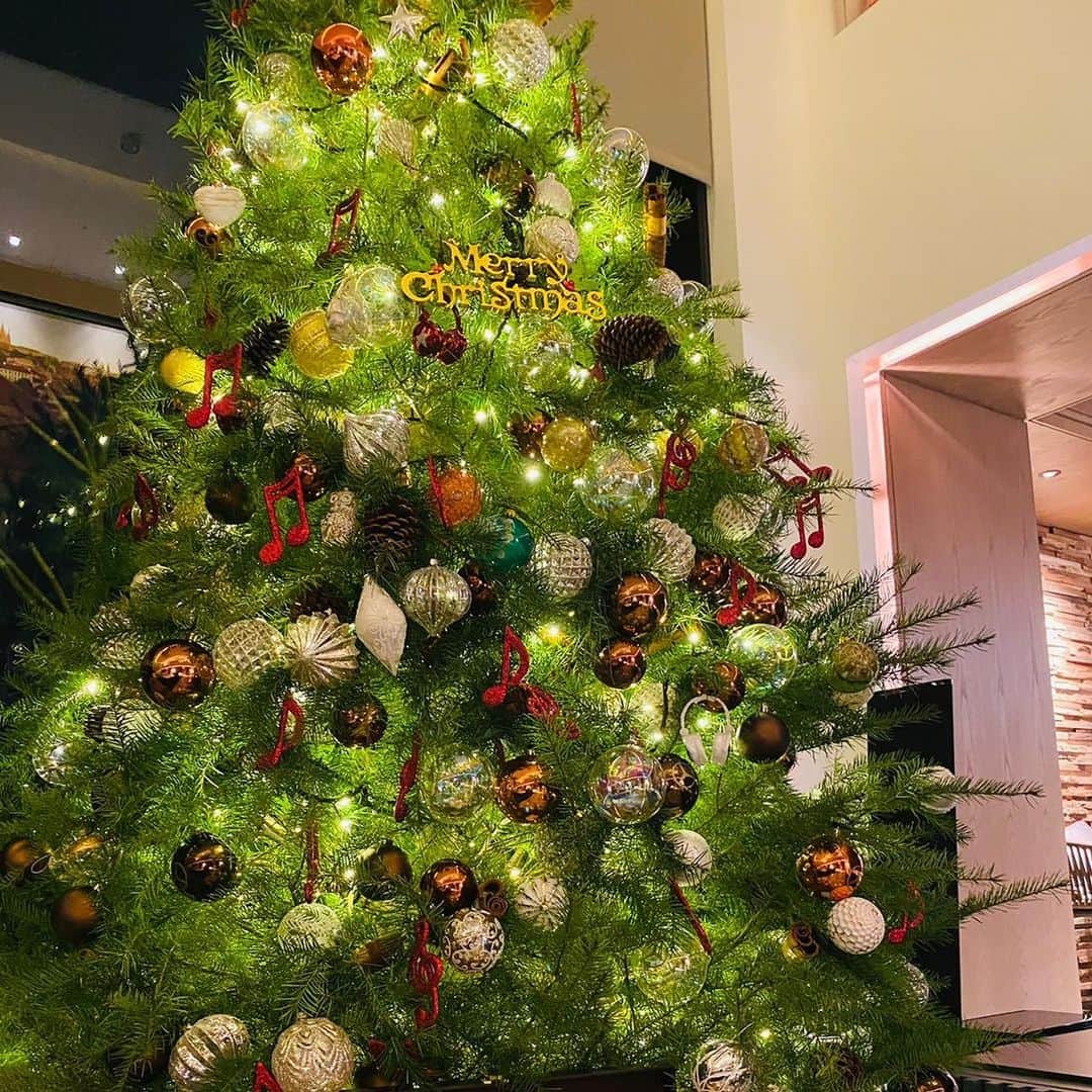 ハンナ・クインリヴァンのインスタグラム：「Merry Christmas 🎄🎁」