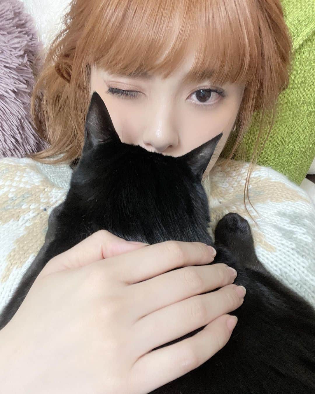 小林弥生のインスタグラム：「. 帰宅後は もずくさんタイム🐱❤️ いつも通り上にのってゴロゴロ時間︎︎︎︎☺︎ . ただいまもずく🐱💕 . . こっちゃんは この横で寝てます🐶 . #保護猫 #保護猫と暮らす  #保護犬 #保護犬を家族に」