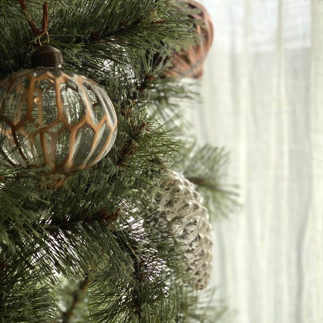 サルボ恭子さんのインスタグラム写真 - (サルボ恭子Instagram)「🎄 Joyeux Noël à tous!﻿ Merry Christmas to everyone！﻿ 皆様に素敵なクリスマスを！﻿ ﻿ 今年は教会にはいかず、﻿ ひっそり自宅で迎えるイブ。﻿ そんな年もあるでしょう。﻿ 皆がそれぞれの場所で﻿ 健やかなひとときを﻿ 過ごせますように。﻿ そして来年には、﻿ 再会できますように。  (photo:mana MIKI)﻿ ﻿ ﻿ #クリスマス#christmas#noël#サルボ家#我が家#mafamille#myfamily#サルボ恭子#kyokosalbot」12月24日 20時19分 - kyokosalbot
