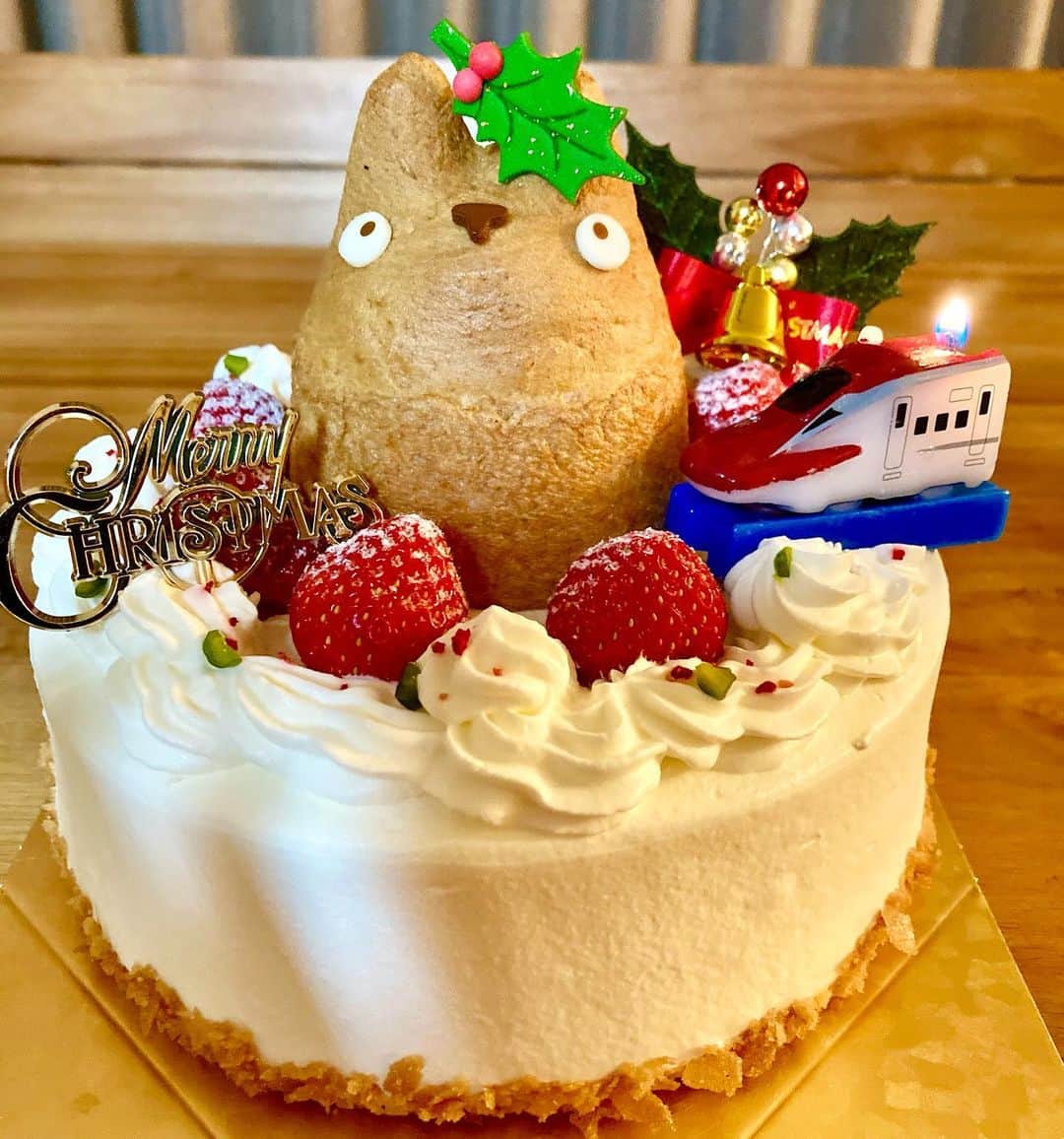 吉川正洋さんのインスタグラム写真 - (吉川正洋Instagram)「トトロとこまちでメリークリスマス！」12月24日 20時31分 - dhyoshikawa