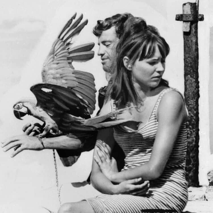 Meganさんのインスタグラム写真 - (MeganInstagram)「Anna Karina and Jean Paul Belmondo 〰photo by Giancarlo Botti on the set of the film Pierrot Le Fou, 1965 . . . . #annakarina #jeanpaulbelmondo #giancarlobotti #pierrotlefou #parrots」12月24日 20時43分 - zanzan_domus