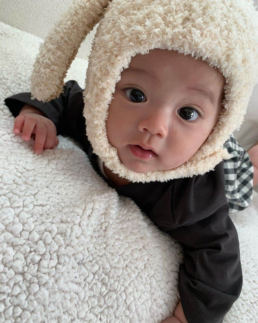 お目がくりくり可愛いベビー Www Vetrepro Fr