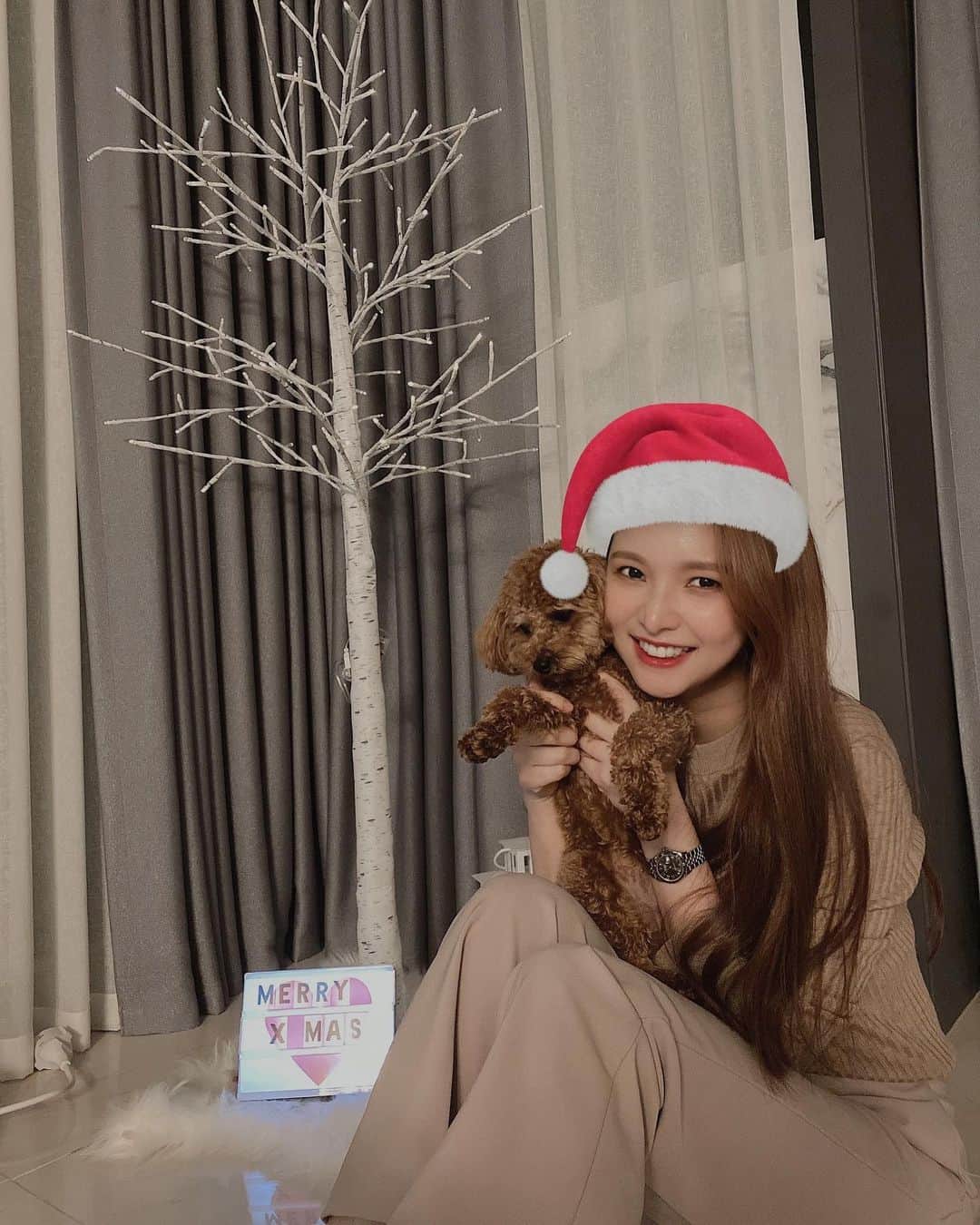 ジェイさんのインスタグラム写真 - (ジェイInstagram)「메리크리스마스🎄 @ginger.house_ 랑 오빠와  함께하니 행복한 #집콕  모두 건강하고 따뜻한 크리스마스 되세요」12月24日 21時03分 - kimjeii