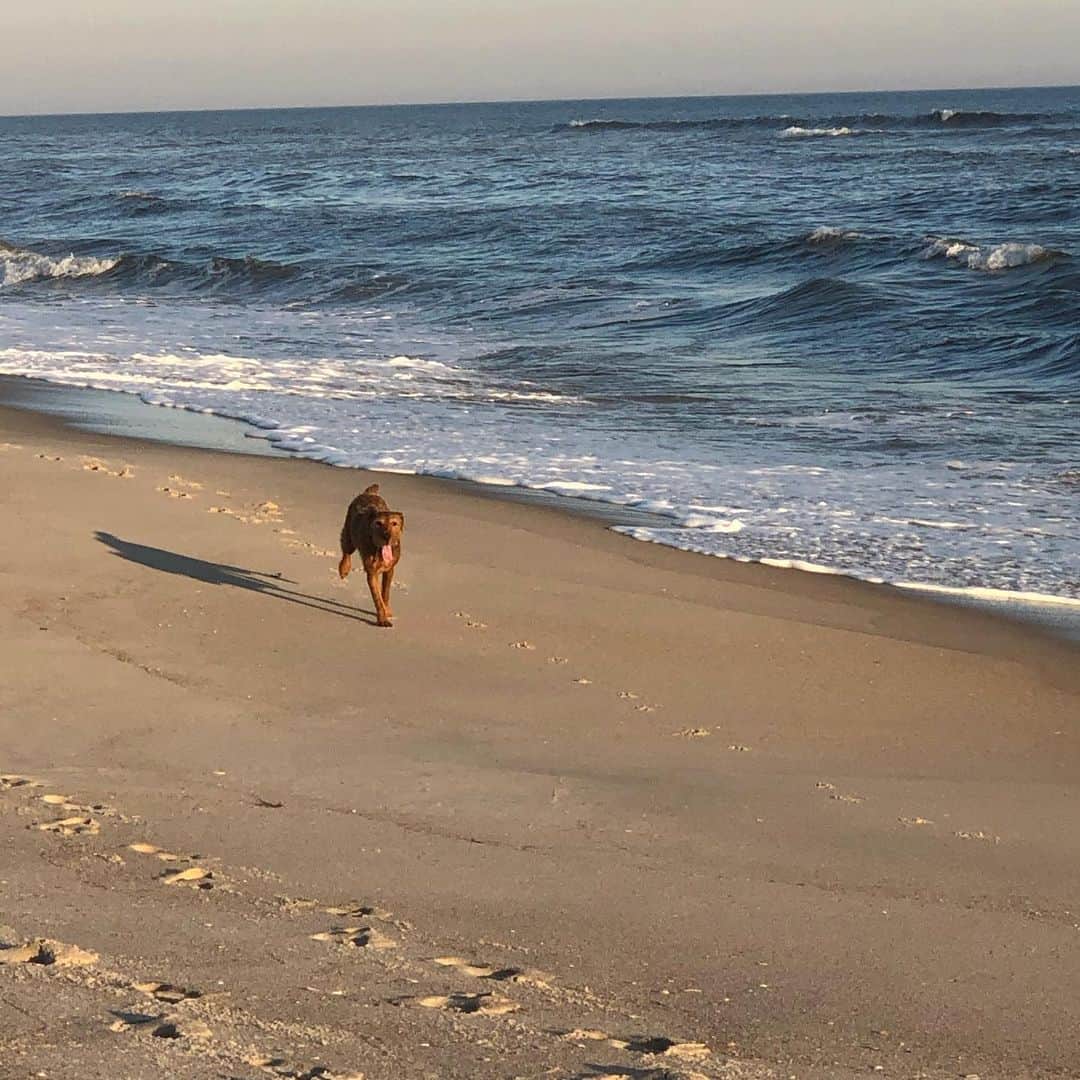 デレク ラムのインスタグラム：「coming....almost there...it’s  finally here! Happy holidays to all. #roscoelam」