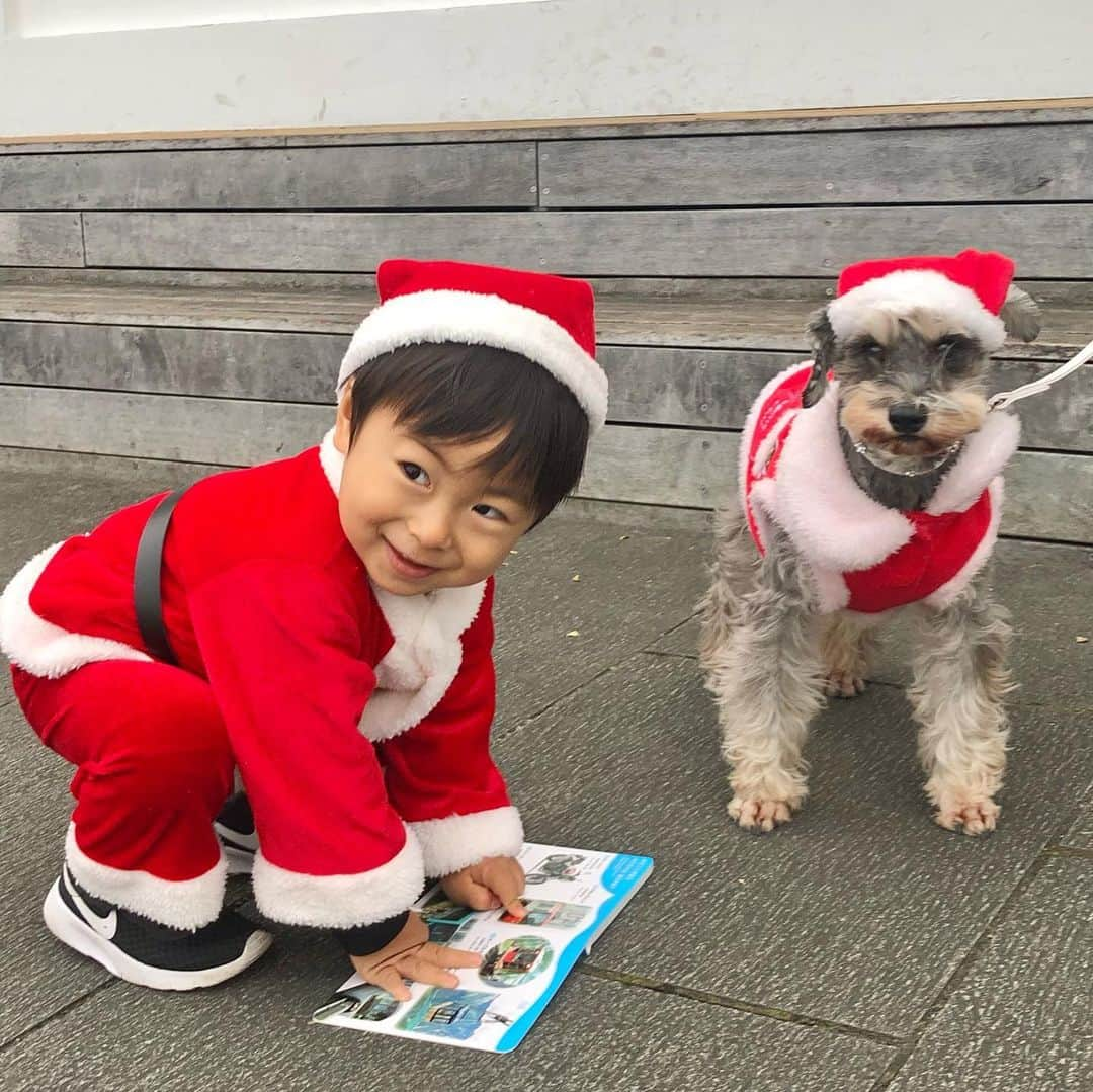 奥村奈津美さんのインスタグラム写真 - (奥村奈津美Instagram)「クリスマスイブ🎄に✨  小さなサンタさんとのデート♡ 少しだけお付き合いください♡  @yokohamaredbrick   ☆*:.｡.┈┈┈┈┈┈┈┈┈┈┈┈┈┈.｡.:*☆  子どもの未来のためにできること  毎週オンラインで防災講座を開催中！  12月28日（月）20時から（1時間） 今年30回目のオンライン防災訓練！ #zoom   2020年総復習版！ 公式LINE登録者限定企画✨ 「地震・水害・コロナ対策 　あなたは備えられましたか？」  参加費無料です♡  【参加方法】﻿ ①公式LINEに登録 3クリックで追加できます👍﻿ ・﻿ 私のInstagramのプロフィール欄﻿ (@natsumi19820521 )のURLをクリック﻿ ↓﻿ 『外部リンクを開く』﻿ ↓﻿ 『LINEを開く』  ②「1228」とメッセージを送ってください。  当日までに参加のURLをお送りします！  #防災   ☆*:.｡.┈┈┈┈┈┈┈┈┈┈┈┈┈┈.｡.:*☆  こんなアカウントも作って見ました♪ @natsumiokumura_ana で 安室奈美恵さんの特番にたどり着くまでのエピソードを ちょっとずつ振り返ってます。  ☆*:.｡.┈┈┈┈┈┈┈┈┈┈┈┈┈┈.｡.:*☆  #クリスマスイブ #クリスマス #サンタクロース #サンタ #サンタコス #サンタさん #男の子ママ #男の子ベビー #クリスマスコーデ #クリスマスデート #赤レンガ倉庫 #横浜赤レンガ倉庫 #ロンハーマン風 #男の子 #インスタ映え #インスタ映えスポット #デートスポット#クリスマスソング #christmas #santaclaus #yokohama #一歳 #一歳児 #1歳 #1歳ごはん #1歳児 #1歳男の子 #1歳9ヶ月」12月24日 21時42分 - natsumi19820521