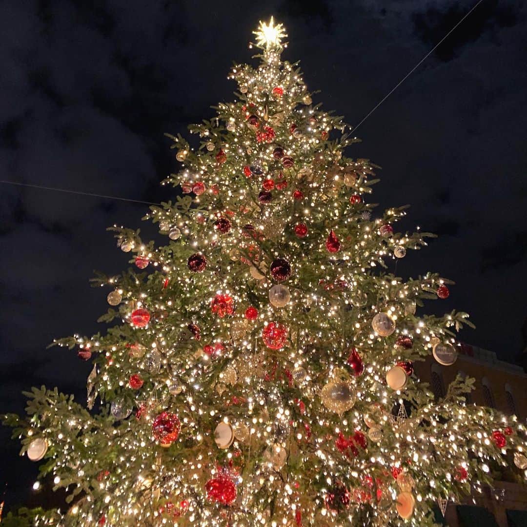 野原遥さんのインスタグラム写真 - (野原遥Instagram)「#christmastree  _ 🎄🎄🎄 _ #happymerrychristmas」12月24日 21時35分 - noharu1021