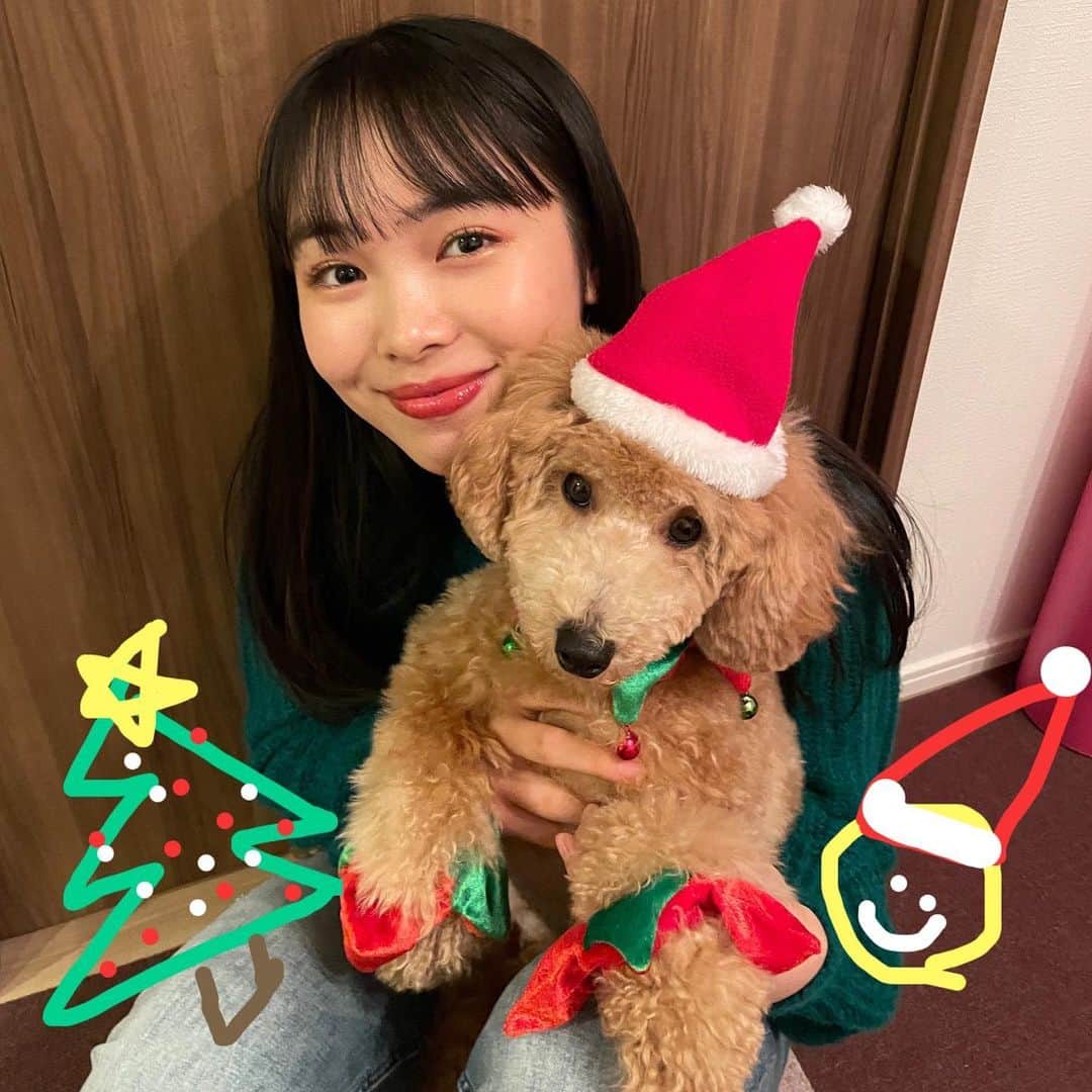 大友樹乃のインスタグラム：「Merry christmas eve 🎅❤️  今日はぷぷの誕生日🎂 いつも癒しをありがとう！これからもよろしね☺️  #christmas#크리스마스#개스타그램 #ぷぷ#1歳」