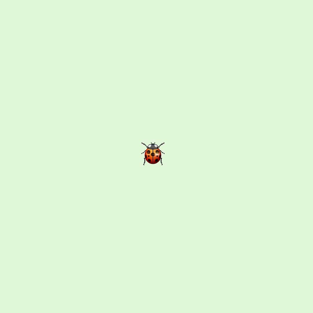mamijinguのインスタグラム：「リアルてんとう虫ネイル🐞 集合体恐怖症の方は見ないでね⚠️  @tk_mmm  いつもありがとう✨  作り方YouTubeしてます🎥  https://youtu.be/umc6t0Cl3FY  #jillandlovers #nail #nailart #paragel #gelneil#gel #ネイル #ネイルアート #me #look #love #かわいい」