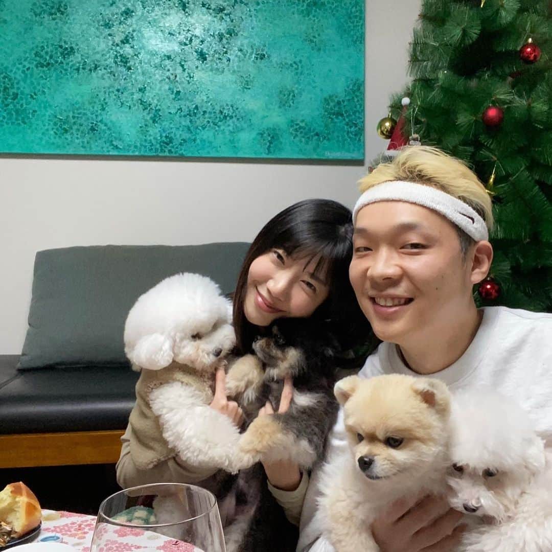 Paloaltoのインスタグラム：「🎄」