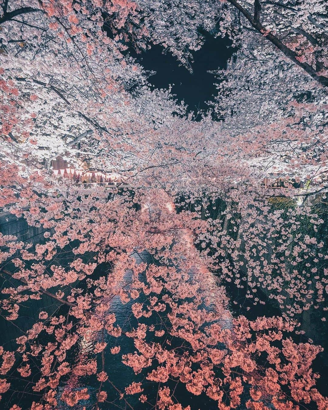 Berlin Tokyoのインスタグラム：「Merry Christmas Eve everyone 🎄  Nature is a fascinating artist. It turns the darkness into a splendid canvas bursting with love and bliss.  I hope that next year will be a bright one🎆 . . . #hellofrom tokyo #japan」