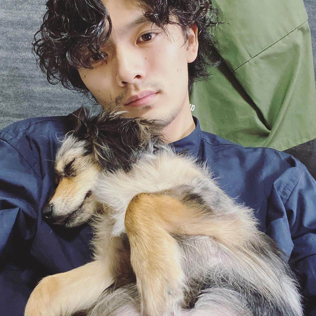 長坂 睦生のインスタグラム：「朝の出社前に飯食って寝る犬」