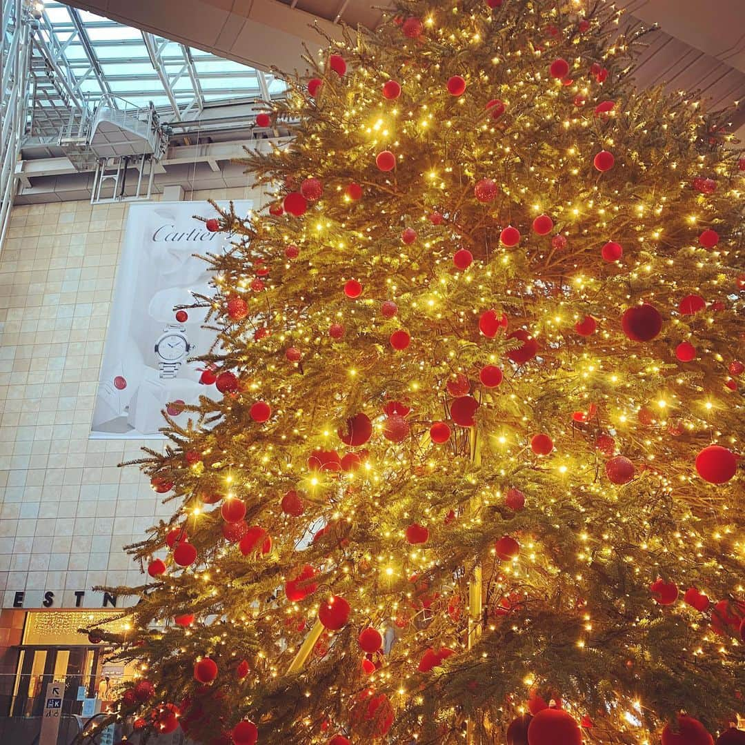 渥美友里恵さんのインスタグラム写真 - (渥美友里恵Instagram)「Merry Christmas (๑˃̵ᴗ˂̵)  #xmas  #merrychristmas」12月24日 22時52分 - yurie_atsumi_