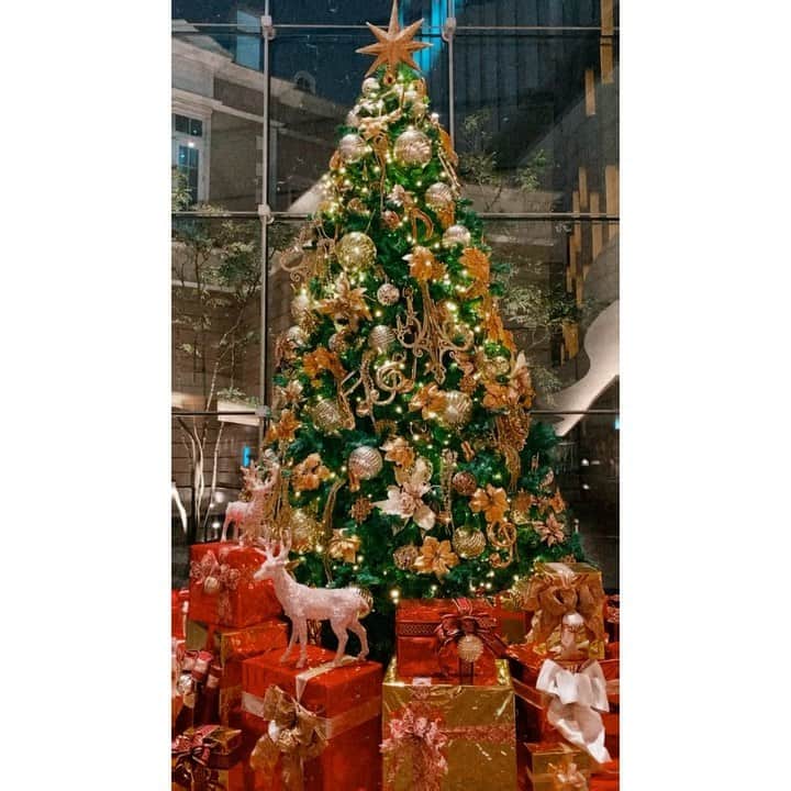 渥美友里恵のインスタグラム：「Merry Christmas (๑˃̵ᴗ˂̵)  #xmas  #merrychristmas」