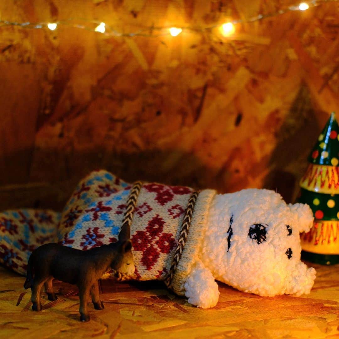 のインスタグラム：「サンタさん、なにくれるかな。 なんてグダグダなクリスマス。 #あおしろう」
