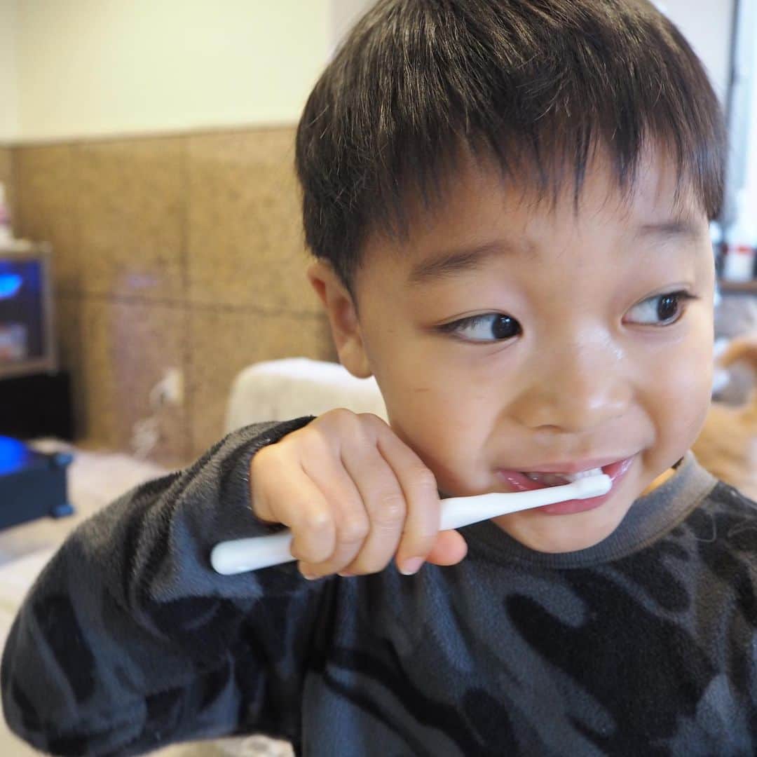 榮樹実さんのインスタグラム写真 - (榮樹実Instagram)「最近の歯磨き習慣🦷 スプレーを歯ブラシにシュッとすれば、簡単にフッ素塗布ができるレノビーゴを使いだしました🪥 もう長年愛されている信頼のブランド👌👌 . . シュッとするのが楽しいみたいで、息子も娘も自分でやりたがります☺️ 特に娘はまだまだ歯みがきの時はぐずることも多いけれど、これは好きみたいで取り出すと寄ってきます😎 . 入っていたシールを容器に貼って、自分の好きなようにアレンジしてお気に入りになったみたい☺️ 来年、中身はそのままデザインがリニューアルするそうなのでそれも楽しみ🥰 . 今、レノビーゴの外箱の応募券6枚で1本プレゼントのキャンペーンがやっていて、応募〆切は年内いっぱいだそうなので、気になる方は是非チェックを☑️ . webはもちろん、薬局や赤ちゃん用品店などでも買えます🙆‍♀️ .  #赤ちゃん歯みがき #PR #レノビーゴ #こども歯みがき #フッ素塗布 #仕上げハミガキ #歯みがきタイム #4歳差育児 #5歳男の子 #1歳女の子 #二児ママ #おうち時間」12月24日 22時48分 - jumisakae