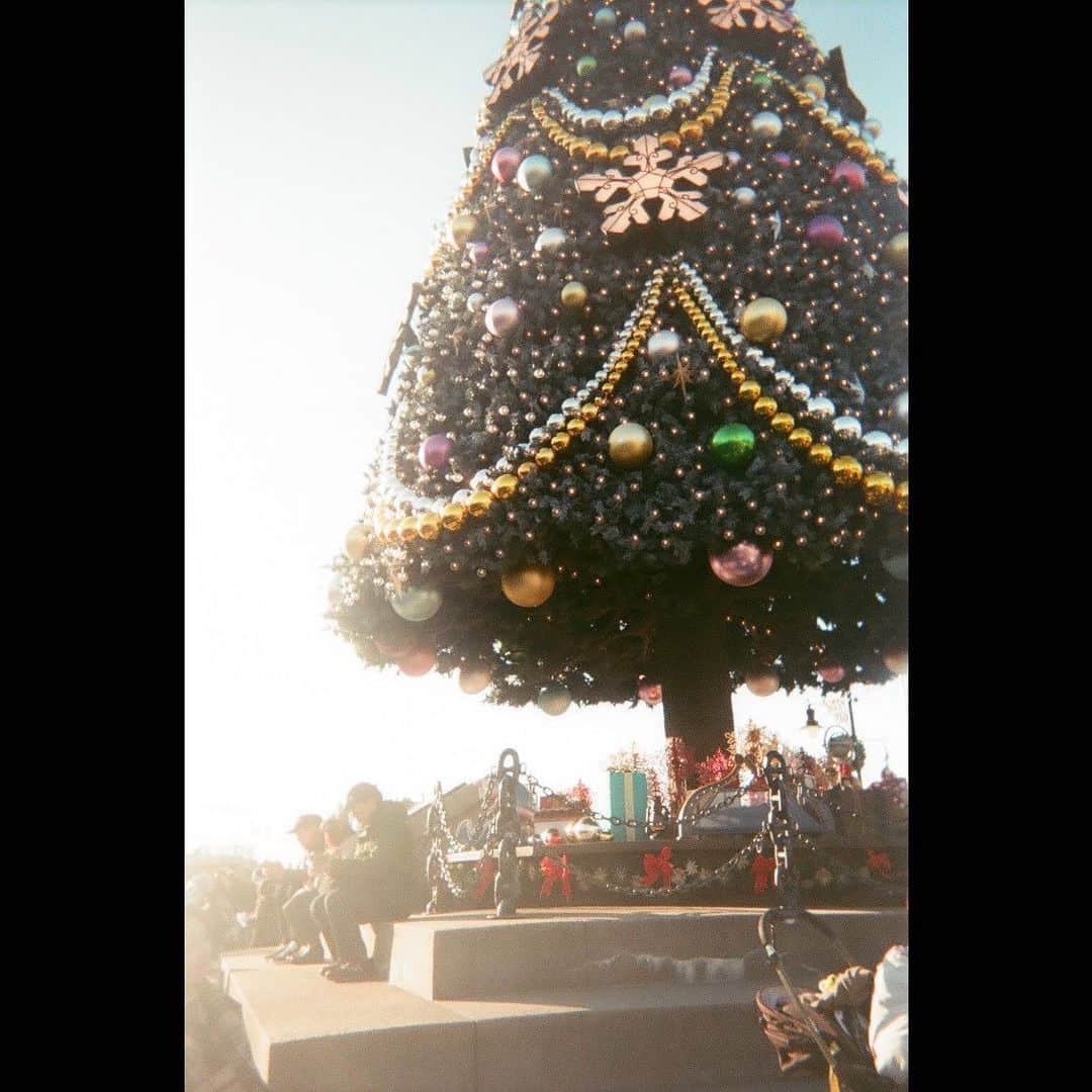 美山加恋のインスタグラム：「去年の光景  #merrychristmas  #christmastree  #disneysea  #disney  #写ルンです　#filmphotography  #film #filmcamera  #フィルムカメラ」
