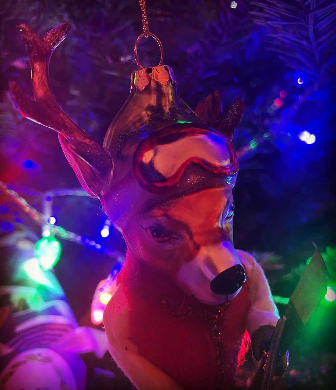 ジョーダン・ロクランのインスタグラム：「Ski. Deer. Is. Still. Here.   [Image Description: A close-up of an Christmas ornament of a deer dressed in ski gear. One antler is missing. Multi-coloured Christmas lights glow in the background.] #MerryChristmas#HappyHolidays #SkiDeerIsDefinitelyATraditionNow」