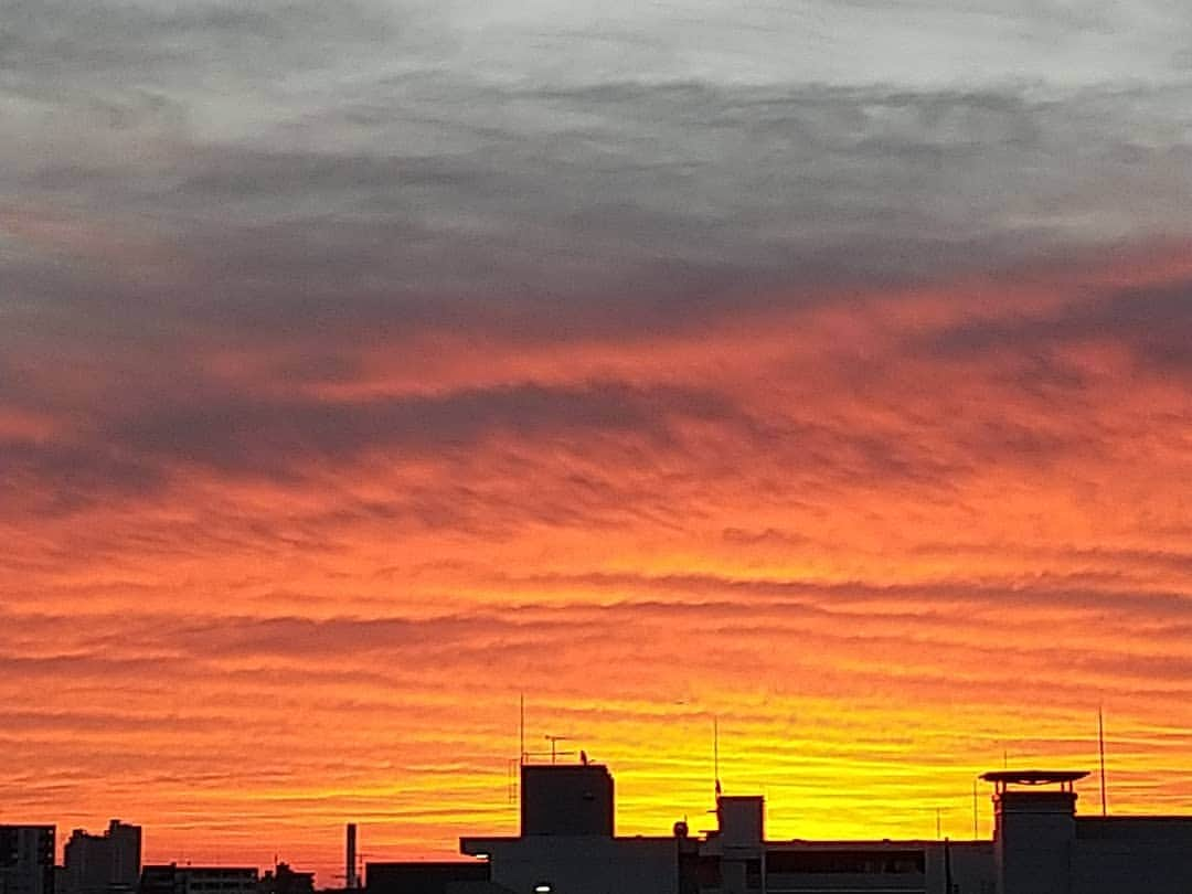 春山恵理のインスタグラム：「今朝の朝焼け🌄 雲があるおかげで、より美しさに磨きがかかっていたような気がしました。 美しさといえば！！ きょうは私の大好きなフィギュアスケートが、しかも羽生くんの演技&新プロが観られるとあって、朝からるんるんです🎵 皆さんも素敵なクリスマスを✨🎄✨  新アカウント作りました！！→ @haru1127eri  #朝焼け #あさそら #層積雲 #空が好きな人と繋がりたい  #空がきれい  #空が好き #冬晴れ  #クリスマスの朝」