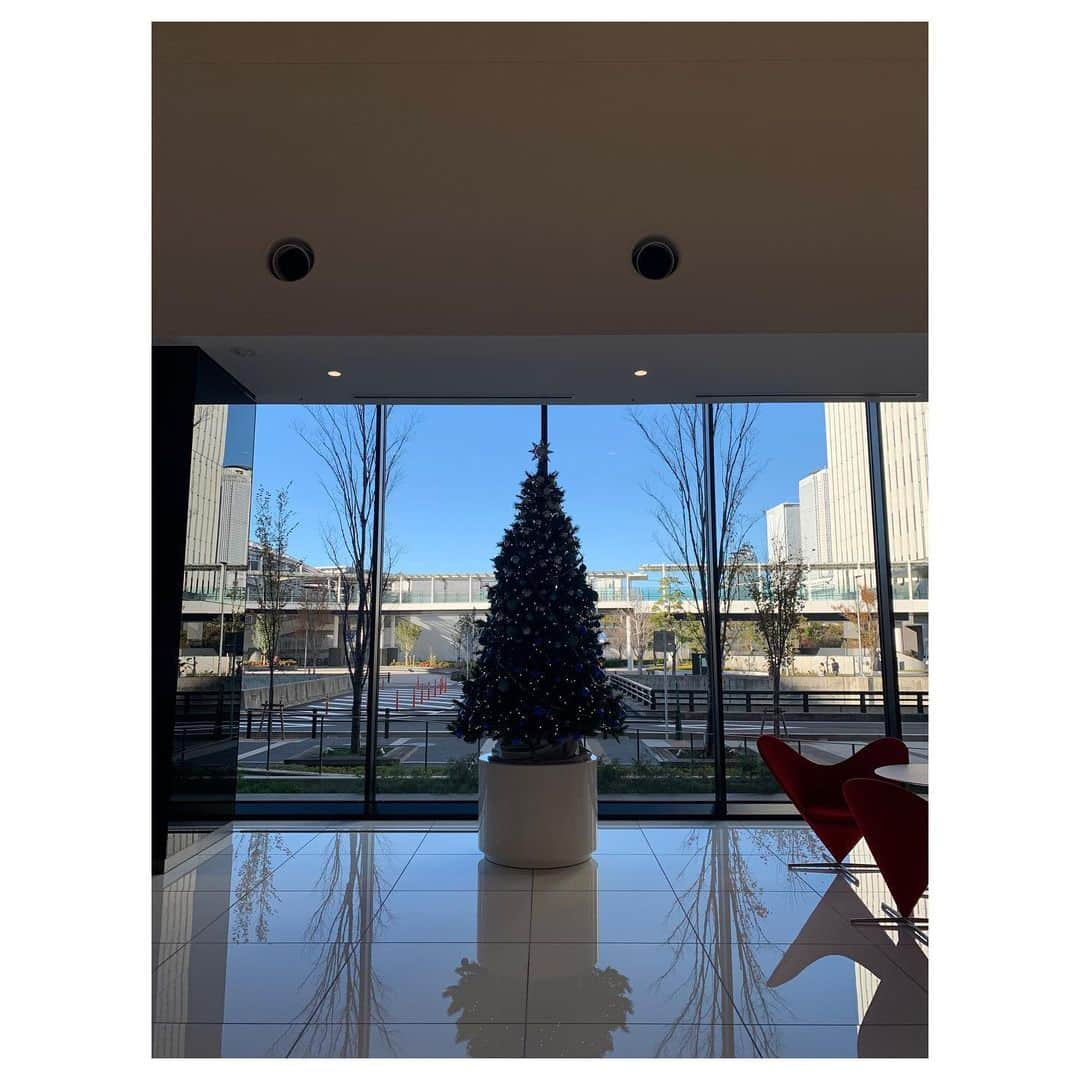 平山雅さんのインスタグラム写真 - (平山雅Instagram)「出勤すると毎日迎えてくれる会社のツリー🎄クリスマスムードをささやかに盛り上げてくれてありがとう🥺 全国のツリーさんたち、それぞれの持ち場で少しでも周りの人をハッピーにできるよう今日もがんばってください！ そして皆さま素敵なクリスマスを…⭐️  #merrychristmas  #クリスマスツリー #ツリーたちはきょうが仕事納め #あすから徐々に門松くんと勤務交代」12月25日 9時49分 - miyabi_hirayama114