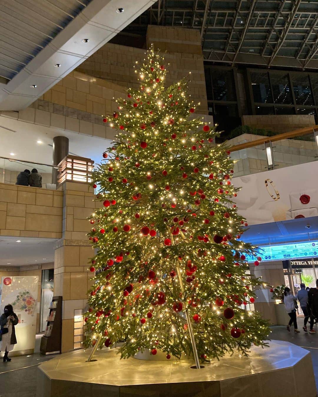 古城優奈さんのインスタグラム写真 - (古城優奈Instagram)「❄️Merry Christmas🎄  みなさん素敵なクリスマスを過ごしてください〜🎅🍗」12月25日 10時05分 - yuna_kojyo