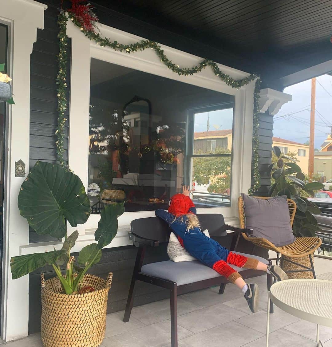 テス・ホリデーのインスタグラム：「Bowie is all of us waiting for our Christmas meals 👀」