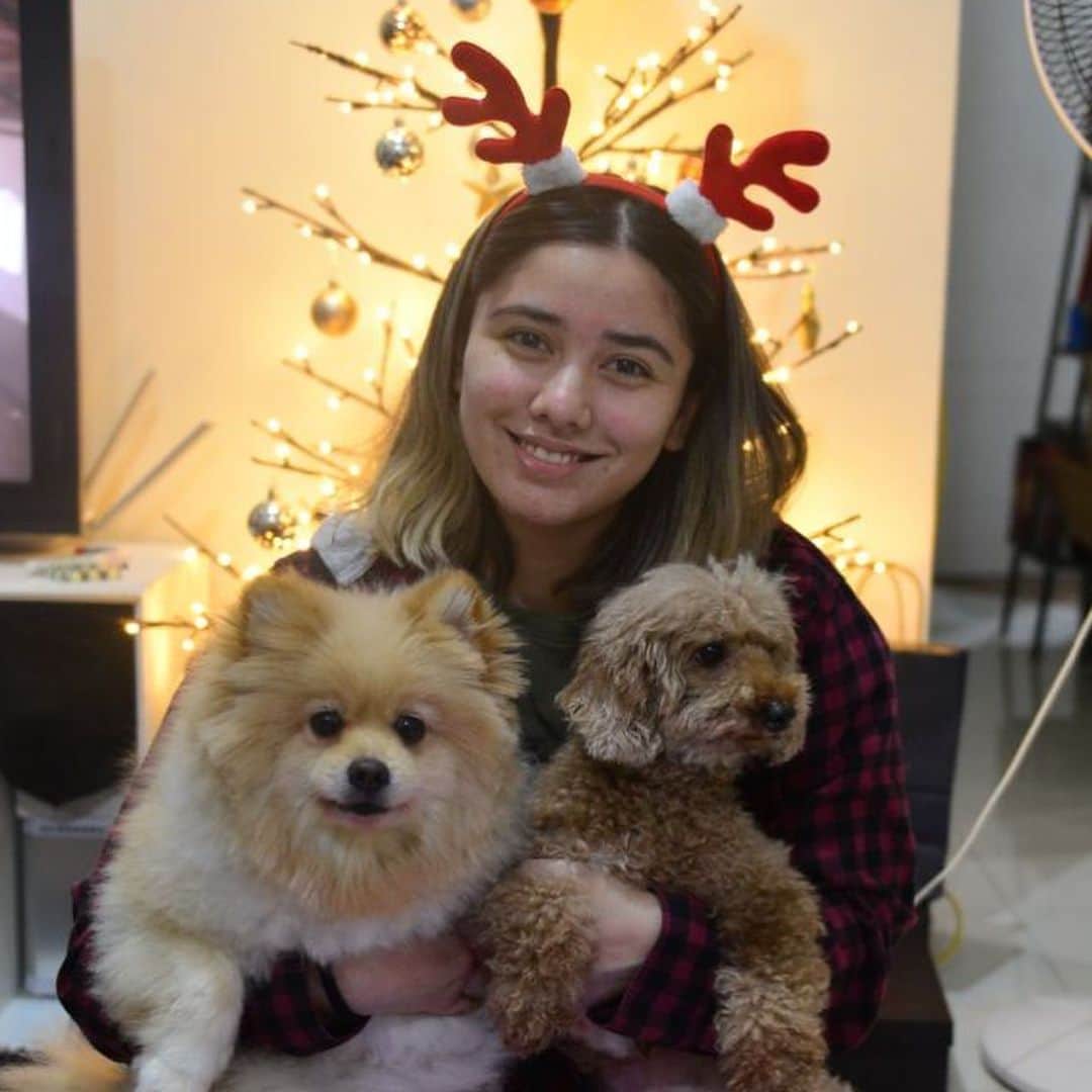 のインスタグラム：「How getting a photo with your dogs are really like.. Merry Christmas!!! 🎄」