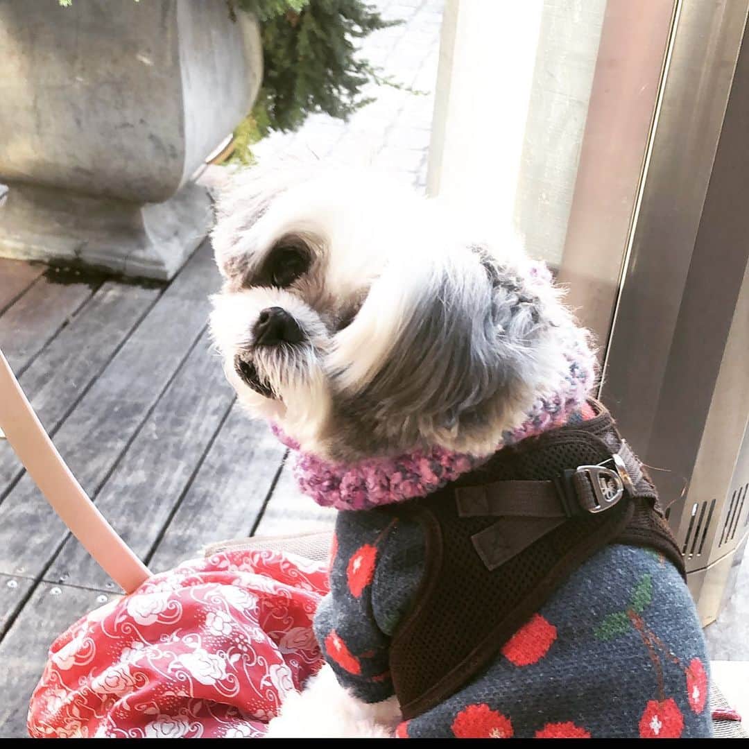のインスタグラム：「パパ。。ドタバタしてるね💦  #濱田もち」