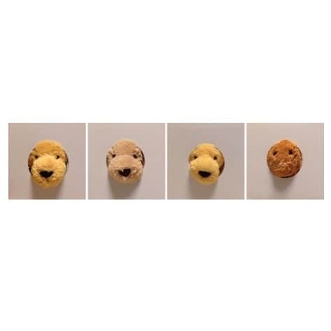 伊藤信子のインスタグラム：「Happy Holidays🎄✨ #jellycat #myjellycats」