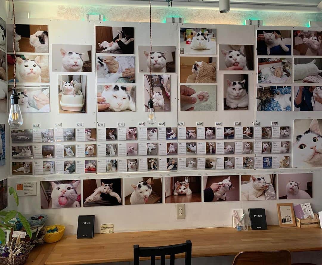 Kachimo Yoshimatsuのグルメインスタ