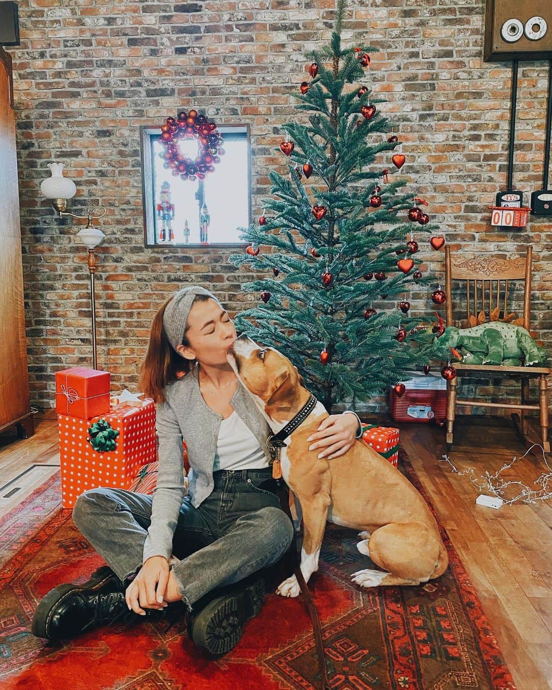 Fabiolla Takinamiのインスタグラム：「#MerryChristmas 🎄✨💋🐶 . 素敵なクリスマスを お過ごしください🎅 . #クリスマス#犬#pitbull」