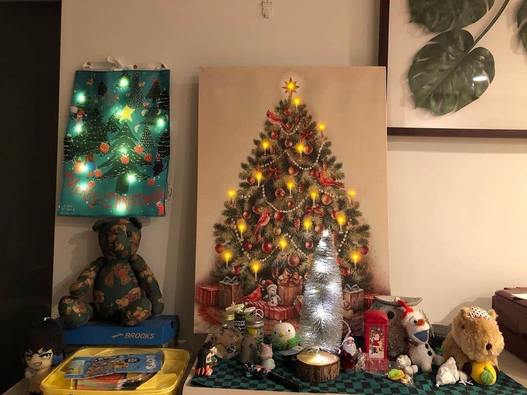 団長安田さんのインスタグラム写真 - (団長安田Instagram)「我が家にワンちゃんのフクくんが来たので今年からツリーはこれになりました！！  #メリークリスマス　#団長安田　  #安田大サーカス団長」12月25日 2時06分 - dancyoyasuda