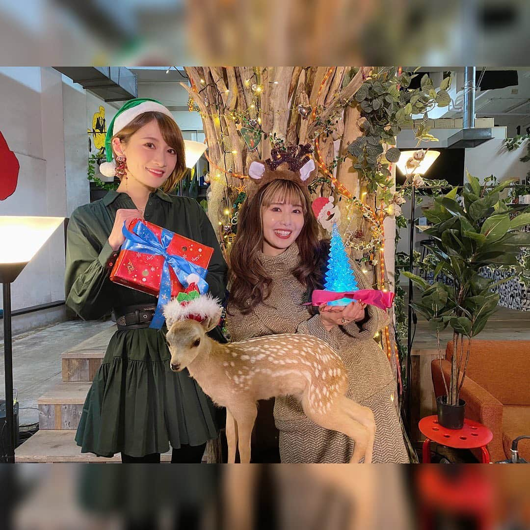 AYASAさんのインスタグラム写真 - (AYASAInstagram)「📺🎻 Ayasa CHRONICLE配信Vol.9 クリスマス&年末スペシャル🎄✨  皆様の今年の嬉し楽しかったことエピソードにほっこりし、生電話から聞こえるびっくりしつつも嬉しそうなお声にすごくすごく幸せな気持ちになりました🥰 生電話企画、めっちゃドキドキだったけど楽しかったなぁ〜またやりたいなぁ〜〜❤️  貴重なクリスマスイブの夜にお付き合い下さった皆様、DJ MISATOさんありがとうございました💚 (MISATOさんに絶対に似合うからトナカイツノ🦌をつけていただきたいという個人的願望も叶って我は満足なり🤤💕←)  そして今年の春から始めたCHRONICLE配信も気づけばもう9回目！！！ 何度やっても配信って喋りも演奏もライブとはまた違った緊張感もあるけど、なかなかライブでお会いできない分少しでも皆様と一緒の時間を過ごせたらと思っています☺️ いつも温かいメッセージをありがとうございました❤️ そして来年もよろしくお願いします💚 ・ ・ #youtube生配信 #ayasachannel  #2020年ありがとうごさいました  #メリークリスマスイブ  #来年もよろしくお願いします」12月25日 2時15分 - ayasa_doya