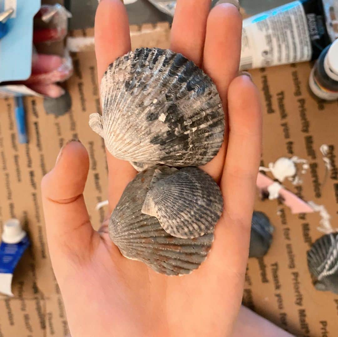 ライアン・ダニエル・ドブソンのインスタグラム：「Wanna see the ornaments we made? Found these shells in Huntington Beach and decided to commemorate the year we got our puppy Tux! #diyornaments」