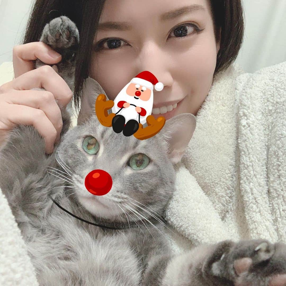 ERYさんのインスタグラム写真 - (ERYInstagram)「Happy Xmas!!! 12月25日、後ほどカバー動画をYouTubeにアップします！ 今回は私一人じゃなくコラボ動画です。お楽しみに！ というわけで絶賛動画編集中なので24日はクリスマスっぽい事何も出来ず、アプリでむーさんにクリスマスっぽくしてもらいました。動画とは関係ありません。 いつも通り不機嫌そうな顔が3枚目で見られます。 #YouTube #カバー動画 #もうすぐ公開 #むーさん #猫のいる暮らし  #電子ピアノ の #ずさんな管理がバレる写真」12月25日 2時56分 - bass_ery