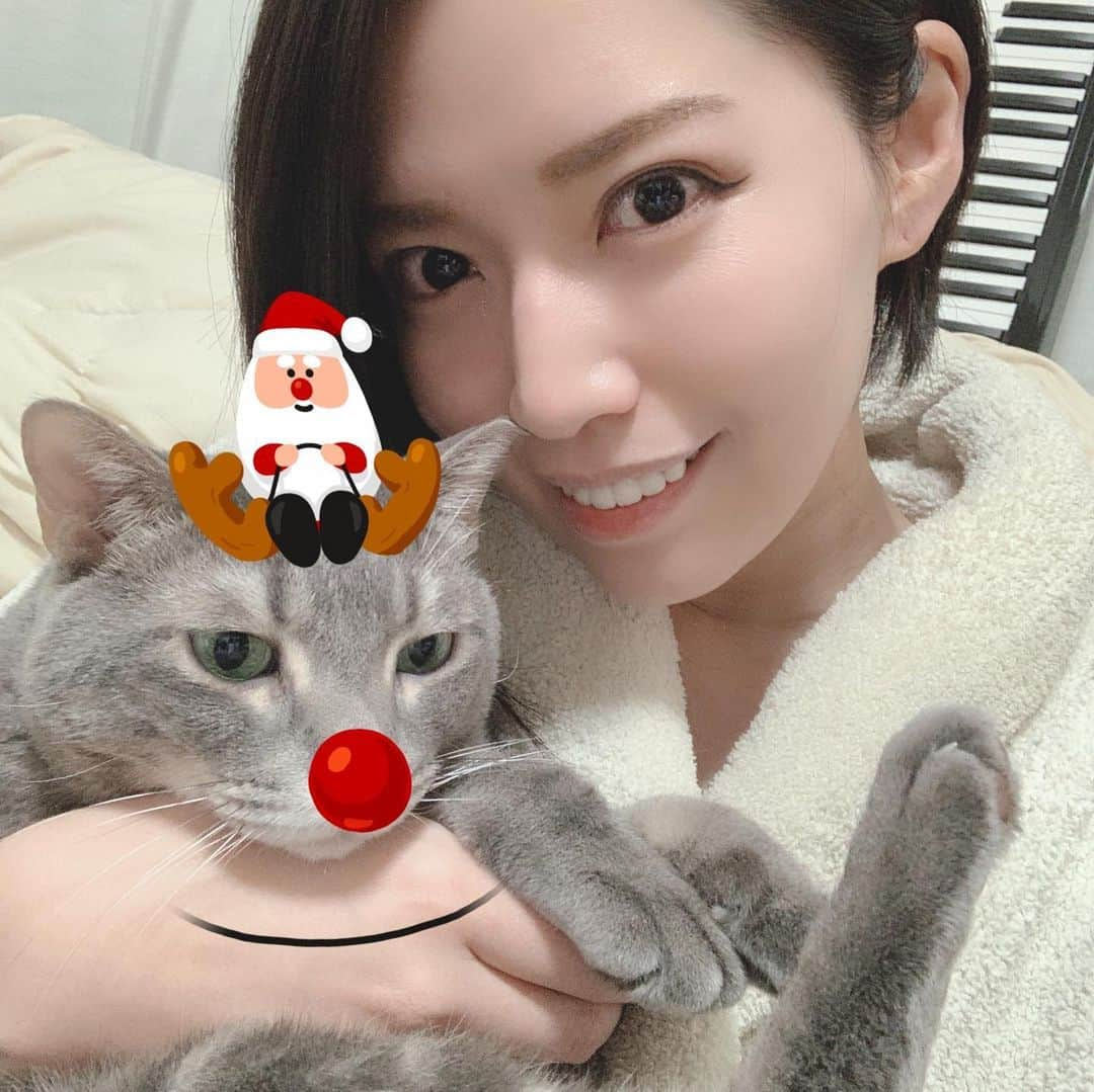 ERYさんのインスタグラム写真 - (ERYInstagram)「Happy Xmas!!! 12月25日、後ほどカバー動画をYouTubeにアップします！ 今回は私一人じゃなくコラボ動画です。お楽しみに！ というわけで絶賛動画編集中なので24日はクリスマスっぽい事何も出来ず、アプリでむーさんにクリスマスっぽくしてもらいました。動画とは関係ありません。 いつも通り不機嫌そうな顔が3枚目で見られます。 #YouTube #カバー動画 #もうすぐ公開 #むーさん #猫のいる暮らし  #電子ピアノ の #ずさんな管理がバレる写真」12月25日 2時56分 - bass_ery