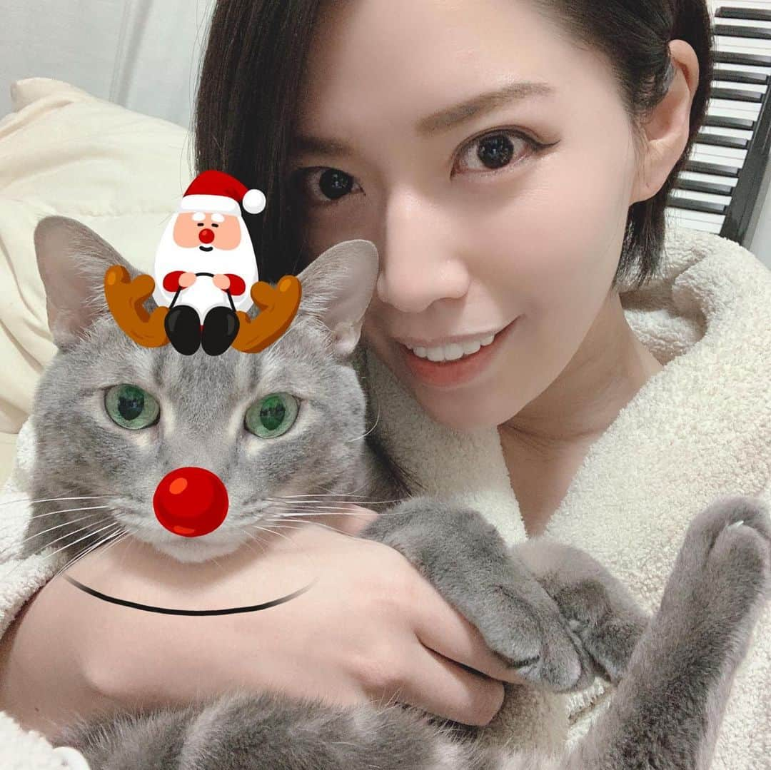 ERYさんのインスタグラム写真 - (ERYInstagram)「Happy Xmas!!! 12月25日、後ほどカバー動画をYouTubeにアップします！ 今回は私一人じゃなくコラボ動画です。お楽しみに！ というわけで絶賛動画編集中なので24日はクリスマスっぽい事何も出来ず、アプリでむーさんにクリスマスっぽくしてもらいました。動画とは関係ありません。 いつも通り不機嫌そうな顔が3枚目で見られます。 #YouTube #カバー動画 #もうすぐ公開 #むーさん #猫のいる暮らし  #電子ピアノ の #ずさんな管理がバレる写真」12月25日 2時56分 - bass_ery