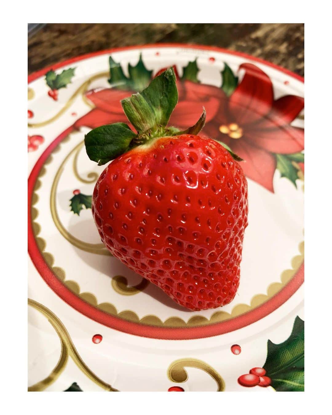 井浦新さんのインスタグラム写真 - (井浦新Instagram)「Berry Merry Xmas」12月25日 2時55分 - el_arata_nest