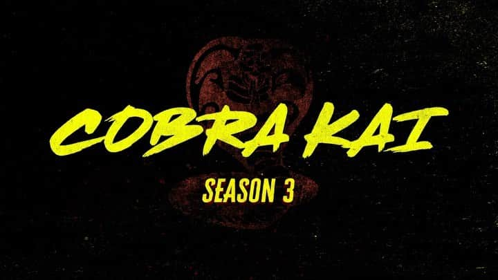 メアリー・モーサのインスタグラム：「want some sweet news to unwrap for the holidays?! HERE IT IS - Cobra Kai Season 3 now drops JANUARY 1st only on Netflix!   how will you be watching season 3? I will be cozied up on the couch, snacks in hand, ready to watch this kickass new season!」