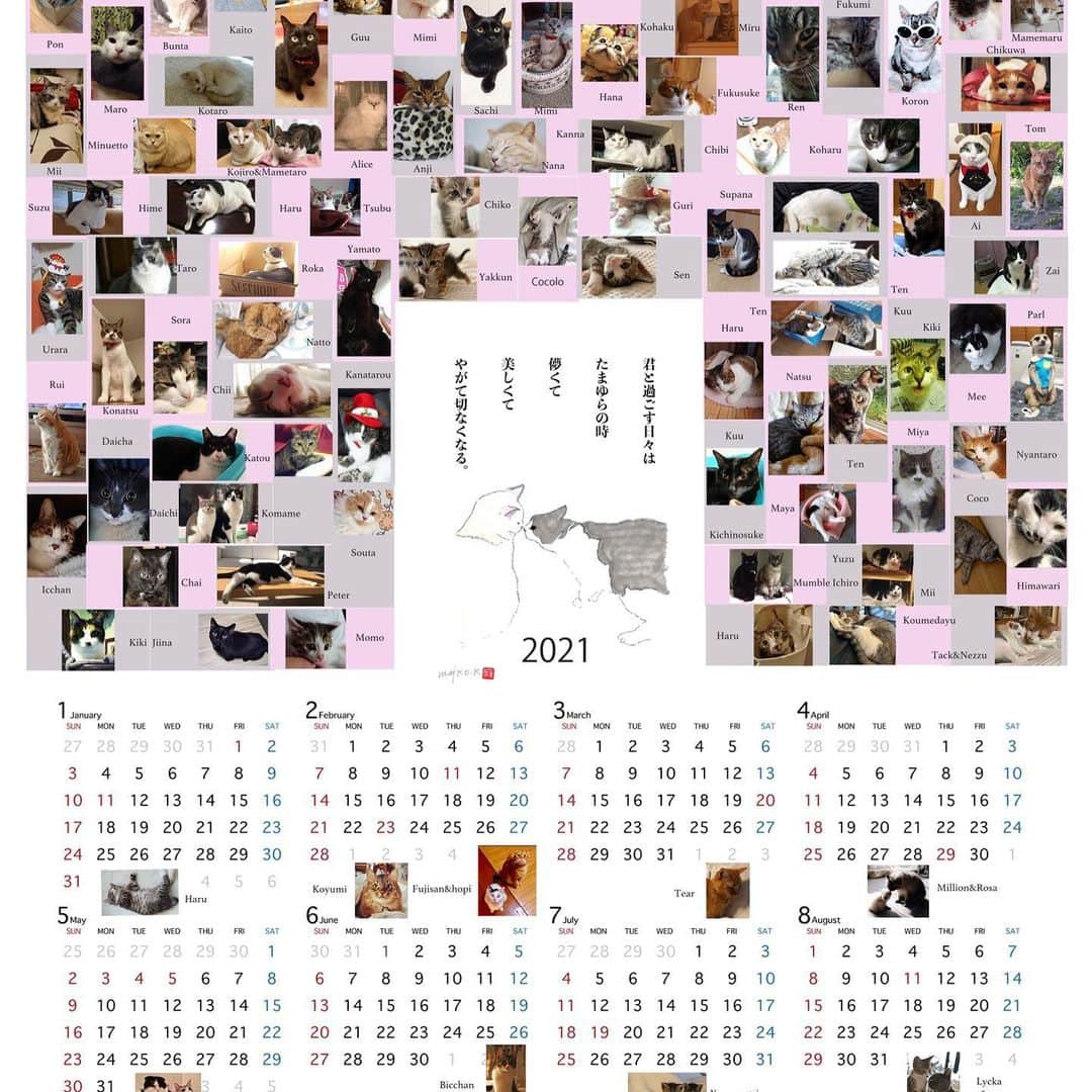 川上麻衣子さんのインスタグラム写真 - (川上麻衣子Instagram)「2021年のカレンダー 今年はこんな2作品となりました。 投稿頂いた猫ちゃんお名前間違い無いでしょうか？ 販売開始はswedengracestore.com27日を予定しています。お楽しみに！」12月25日 3時11分 - kawakami.maiko