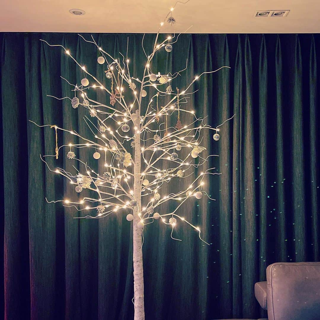 シンドン さんのインスタグラム写真 - (シンドン Instagram)「Merry Christmas!! Christmas tree at home🎄Pretty?! ❤️💙#goodnight🌙」12月25日 3時25分 - earlyboysd